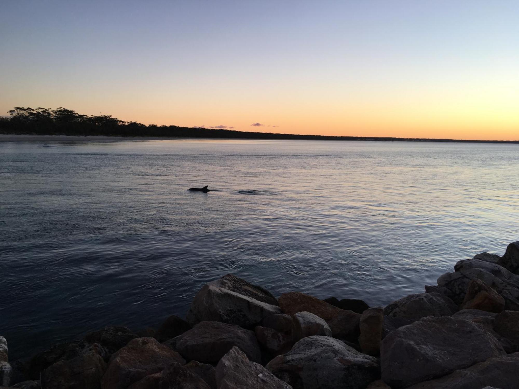 Jervis Bay Motel Huskisson Zewnętrze zdjęcie